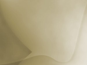 服务全方位解析